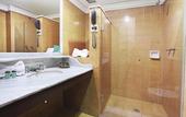 Туры в отель Hotel Dan Inn Sao Jose do Rio Preto By Nacional Inn