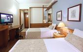 Туры в отель Hotel Dan Inn Sao Jose do Rio Preto By Nacional Inn