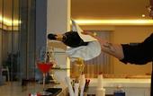 Туры в отель Hotel Maui Maresias - Adults Only