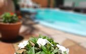 Туры в отель Pousada Rota Tropicana