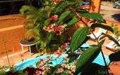 Туры в отель Pousada Rota Tropicana