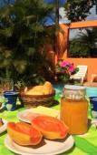Туры в отель Pousada Rota Tropicana