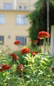 Туры в отель Hotel Pousada Sao Lourenco