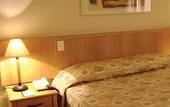 Туры в отель Hotel Golden Park Campinas Viracopos By Nacional Inn