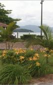 Туры в отель Hotel Porto Sol Beach