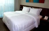 Туры в отель BH Raja Hotel
