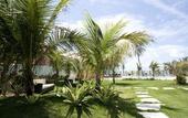 Туры в отель Samba Villa da Praia