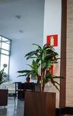 Туры в отель Hotel Serra Negra
