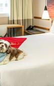 Туры в отель ibis Sao Paulo Tatuape