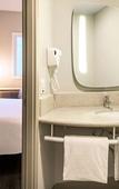 Туры в отель ibis Sao Paulo Tatuape