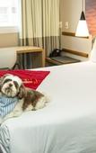 Туры в отель ibis Sao Paulo Tatuape