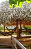 Туры в отель Juma Amazon Lodge