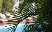 Туры в отель Campo Bahia Hotel Villas Spa