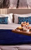 Туры в отель Rio Hotel by Bourbon Sao Paulo