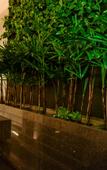 Туры в отель Rio Hotel by Bourbon Sao Paulo