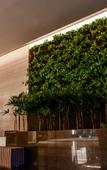 Туры в отель Rio Hotel by Bourbon Sao Paulo