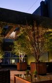 Туры в отель Rio Hotel by Bourbon Sao Paulo