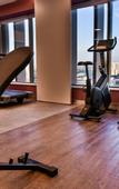 Туры в отель Rio Hotel by Bourbon Sao Paulo