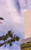 Туры в отель Rio Hotel by Bourbon Sao Paulo