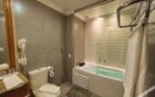 Туры в отель Hotel Euro Suite Campos do Jordao