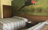 Туры в отель Resort Fazenda Sao Joao