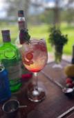 Туры в отель Vale das Aguas Fazenda Resort