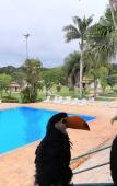 Туры в отель Vale das Aguas Fazenda Resort