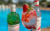 Туры в отель Vale das Aguas Fazenda Resort