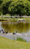 Туры в отель Vale das Aguas Fazenda Resort