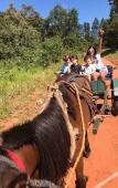 Туры в отель Vale das Aguas Fazenda Resort