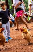 Туры в отель Vale das Aguas Fazenda Resort