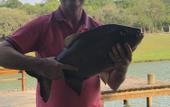 Туры в отель Vale das Aguas Fazenda Resort