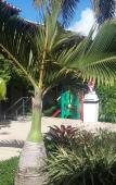 Туры в отель Hotel Casa Blanca Porto Seguro