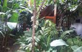 Туры в отель Hotel Casa Blanca Porto Seguro