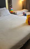 Туры в отель Novotel Sao Paulo Berrini