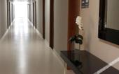 Туры в отель Hotel Pouso Novo