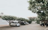 Туры в отель Portal Hotel Mogi Mirim