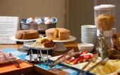 Туры в отель Portal Hotel Mogi Mirim