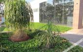 Туры в отель Portal Hotel Mogi Mirim