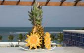 Туры в отель Baia Branca Porto de Galinhas