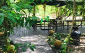 Туры в отель Eco Luar Boutique Hotel