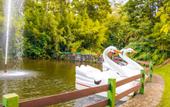 Туры в отель Hotel Caminhos de Itaipava