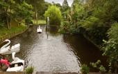 Туры в отель Hotel Caminhos de Itaipava