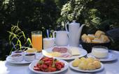Туры в отель Hotel Fazenda Auberge Suisse