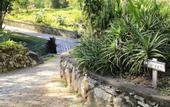 Туры в отель Hotel Fazenda Auberge Suisse
