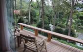 Туры в отель Hotel Fazenda Auberge Suisse