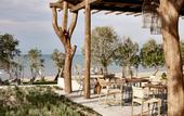 Туры в отель Grecotel Casa Marron