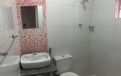 Туры в отель Hotel Butanta