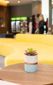 Туры в отель Hotel Contemporaneo BY Royal Palm Hotels & Resorts