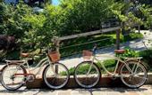 Туры в отель Hotel Boutique Quebra-Noz Conforto e Natureza